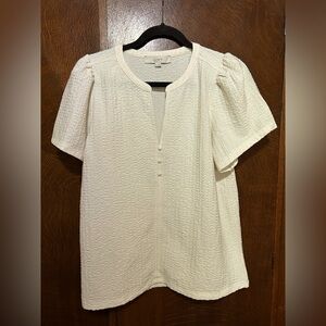 LOFT Cream Puff short Sleeve Blouse with Mandarin Collar size medium